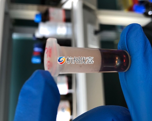 用宋慈全自動樣品研磨儀，研磨小鼠心臟技術方案