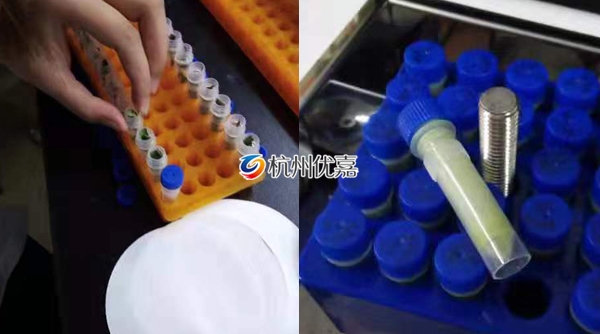 宋慈研磨儀批量研磨植物組織，速度快，重復性好